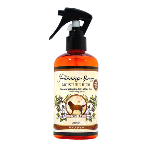 �\�t�B�A ���K�̔��X