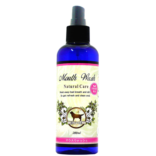 �\�t�B�A ���K�̔��X