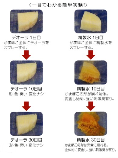 �f�I�[�� ���K�̔��X