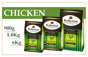 �p�[�t�F�N�V���� �`�L��