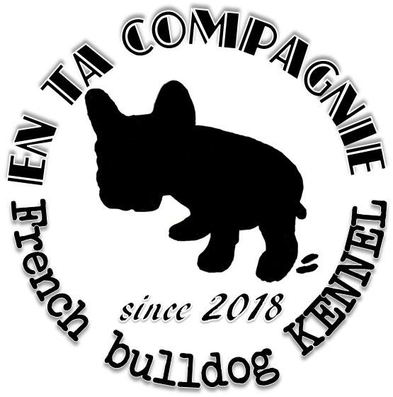 �A���^�R���p�j�[