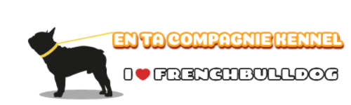 �t�����`�u���h�b�O �A���^�R���p�j�[