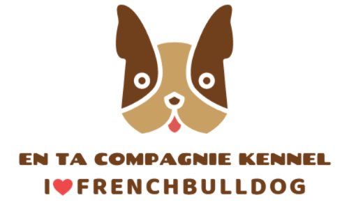 �t�����`�u���h�b�O �A���^�R���p�j�[