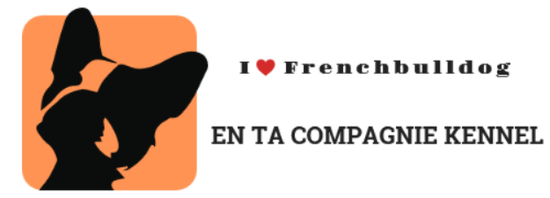 �A���^�R���p�j�[�@�t�����`�u���h�b�O