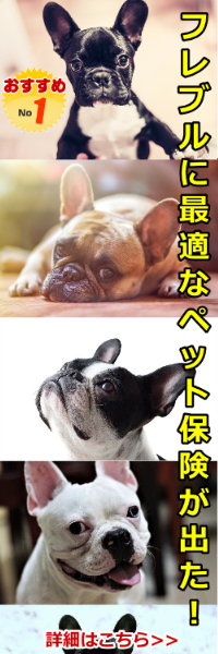 �y�b�g�ی�