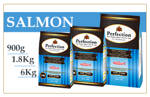 �p�[�t�F�N�V���� �T�[����