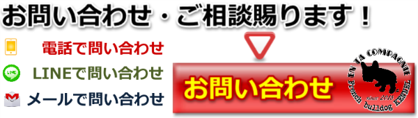 アンタコンパニー問い合わせ